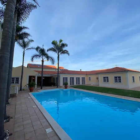 With Palm Tree Heated Pool 住宿加早餐酒店 *