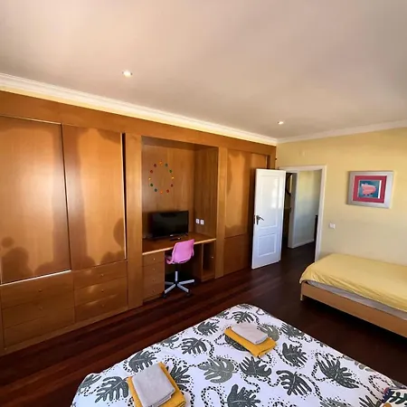 With Palm Tree Heated Pool