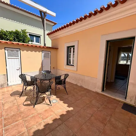 With Palm Tree Heated Pool