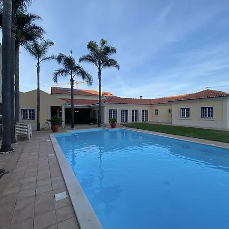 With Palm Tree Heated Pool São Martinho do Porto
