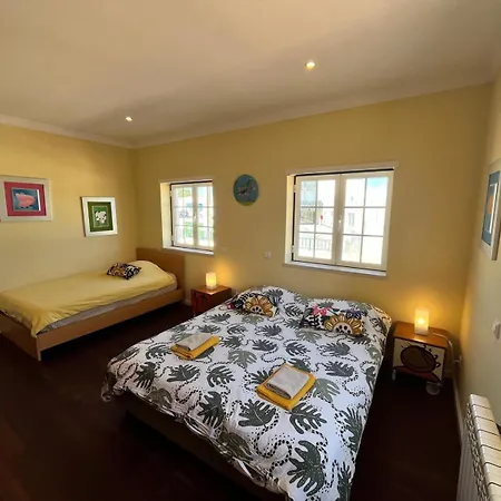 With Palm Tree Heated Pool Bed & Breakfast *