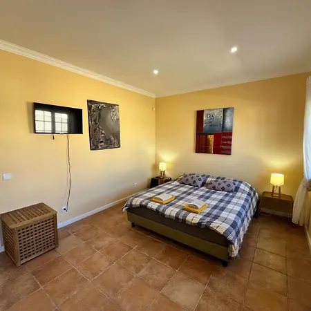 With Palm Tree Heated Pool Bed & Breakfast São Martinho do Porto