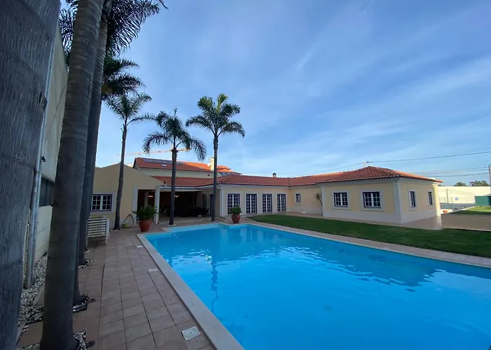 With Palm Tree Heated Pool Bed & Breakfast *