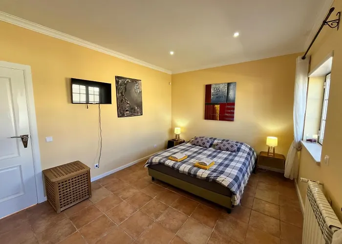 With Palm Tree Heated Pool Bed & Breakfast São Martinho do Porto